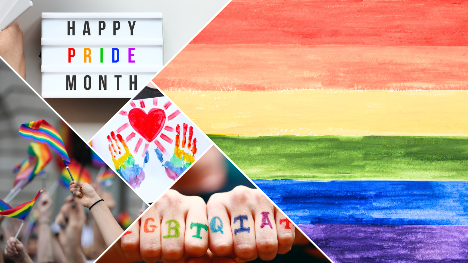 true north celebrates pride