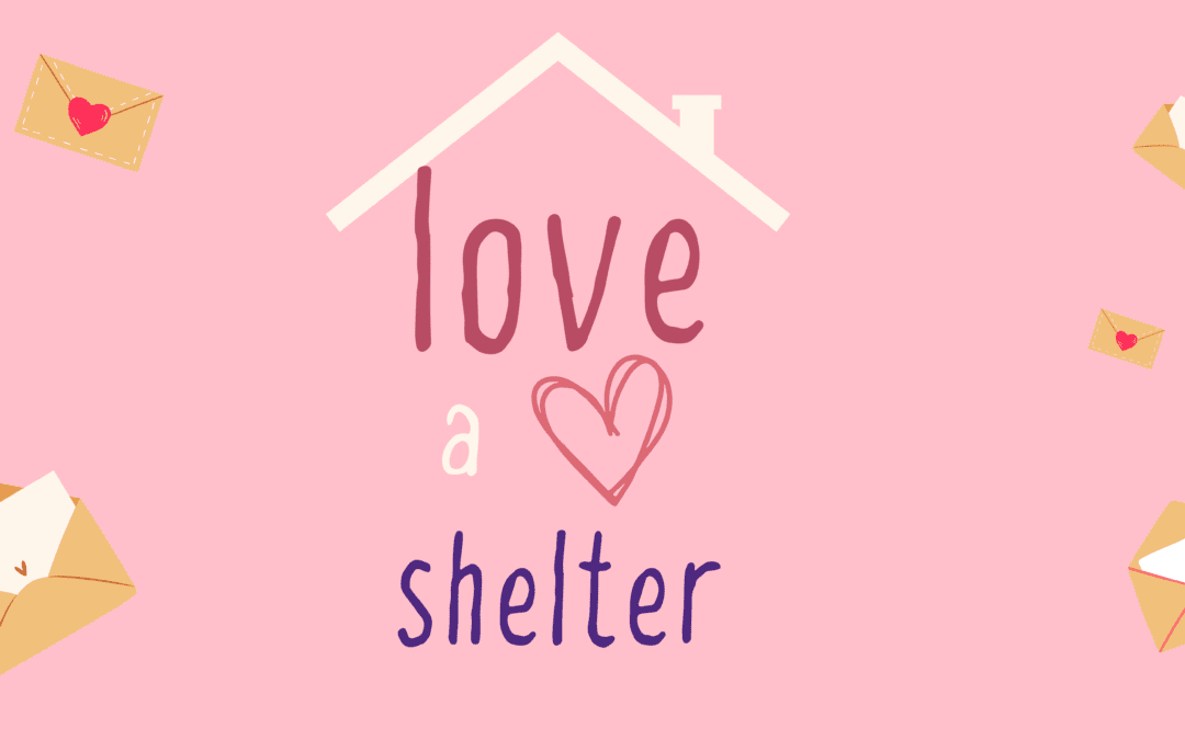 love a shelter campaign for domestic violence shelters